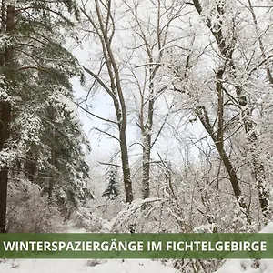 https://ferienwohnung-fichtelsuite-2-6-pers-nahe-ochsenkopf-sd-800m.com-bavaria.com